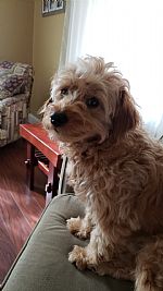 Allend54 profile photo