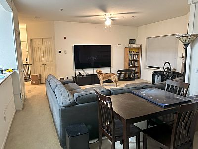 dsarkar81 profile photo