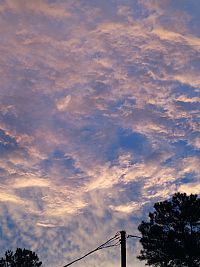 wlmjohnston profile photo