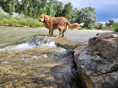 calculator profile photo