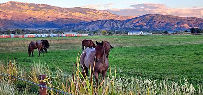 calculator profile photo