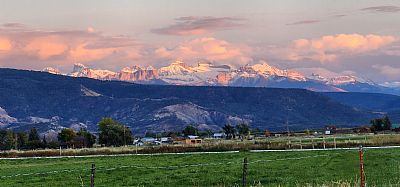 calculator profile photo