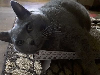 Kayakpro profile photo