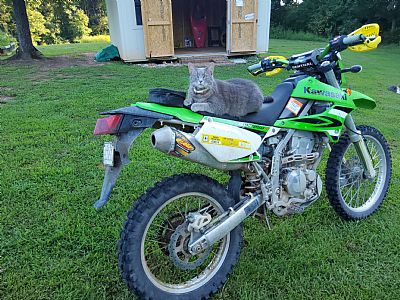 Kayakpro profile photo