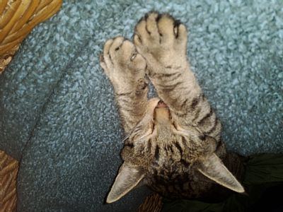 Kayakpro profile photo