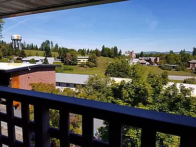 derekwalk profile photo