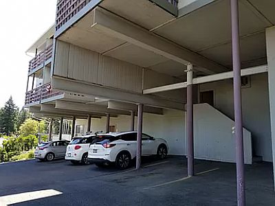 derekwalk profile photo