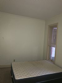 ZoraAdams profile photo