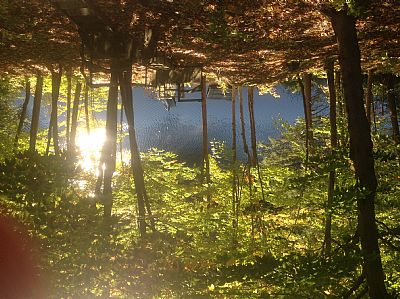 Gary987! profile photo