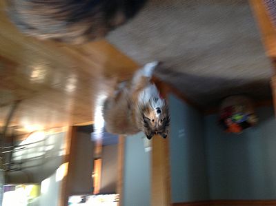 Gary987! profile photo