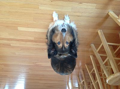 Gary987! profile photo