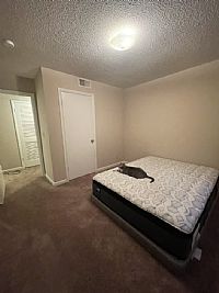 SPTully profile photo