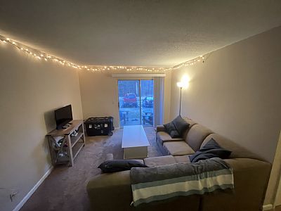 SPTully profile photo