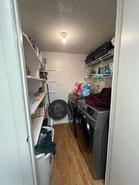 SPTully profile photo