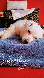 fcampsu profile photo