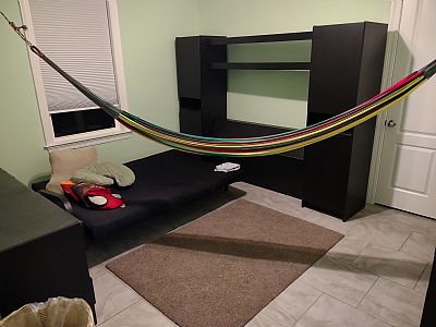 xocomp profile photo