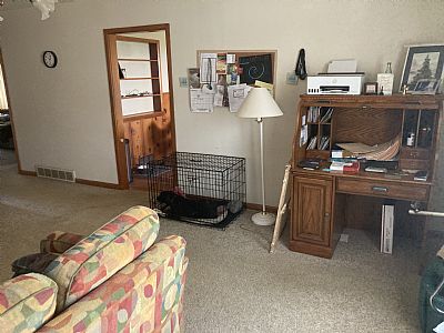 TheDude7 profile photo