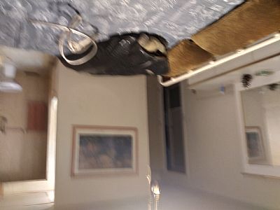 K e v i n BM profile photo