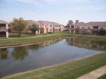 rodkman profile photo