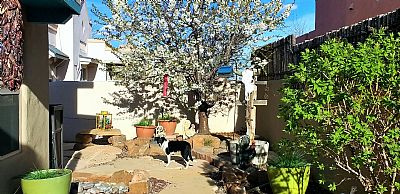 linaxyl profile photo