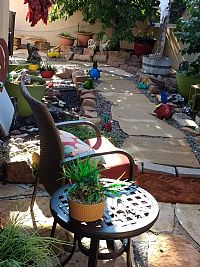 linaxyl profile photo