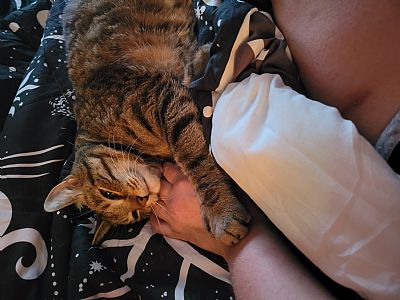 Vruiz49 profile photo