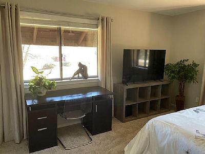 yvonnejames profile photo