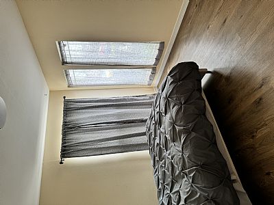 mandabernstein profile photo