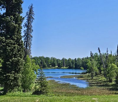 Nikiskicabin profile photo