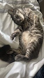 graced0616 profile photo