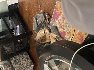 Kayla_Linebaugh profile photo