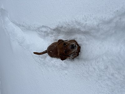 ctckearney profile photo