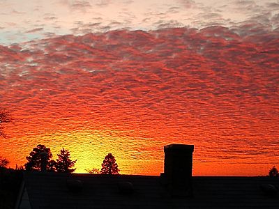 CaptainKirk profile photo