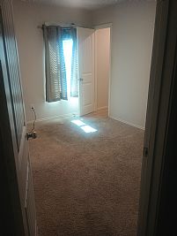 Davedude profile photo