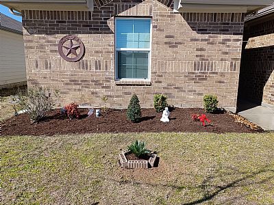 Davedude profile photo