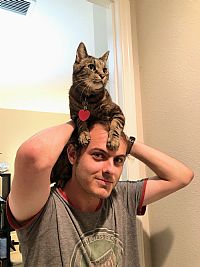 TPiedmo profile photo