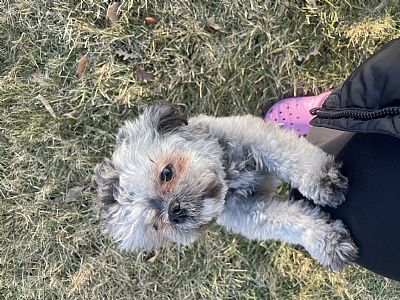 Naliae profile photo