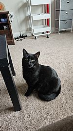 kxnzie01 profile photo