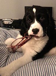 Bill306 profile photo