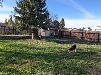 ChloeMM profile photo