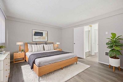 dawrow profile photo