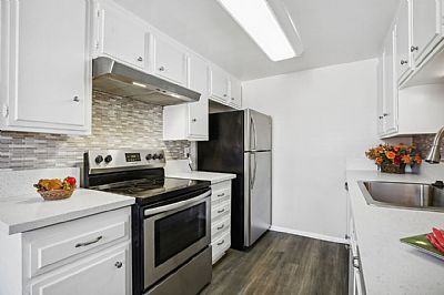 dawrow profile photo