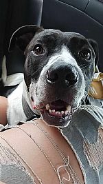 VHRvirus profile photo