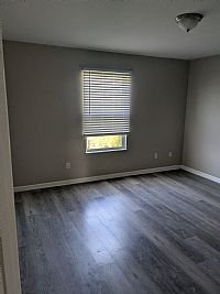 calyst001 profile photo