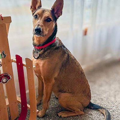 David.hart profile photo