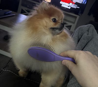 Trowe14 profile photo