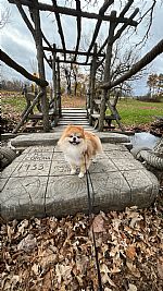 Trowe14 profile photo