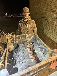 samujuid profile photo