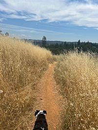 KayaMoore25 profile photo