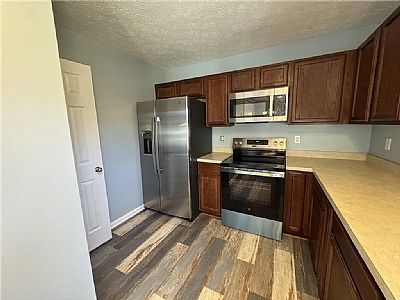 Julia Behr profile photo